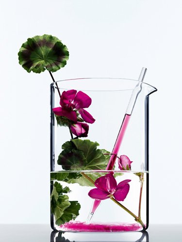 L Oreal Paris Mascarilla Mascarilla Geranio Botanicals 000 3600523371433 Ingredient